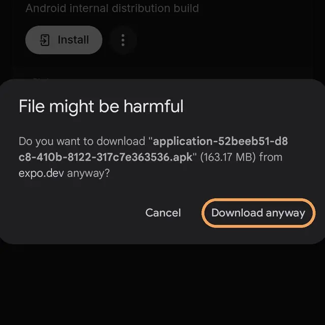 Chrome’s File might be harmful warning with Download anyway circled